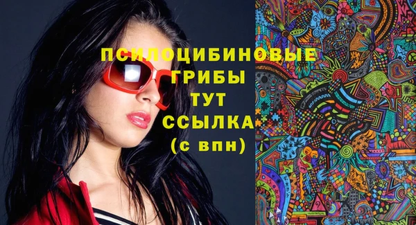 PSILOCYBIN Алзамай