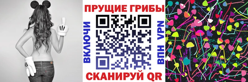 купить   Анапа  Псилоцибиновые грибы Magic Shrooms 